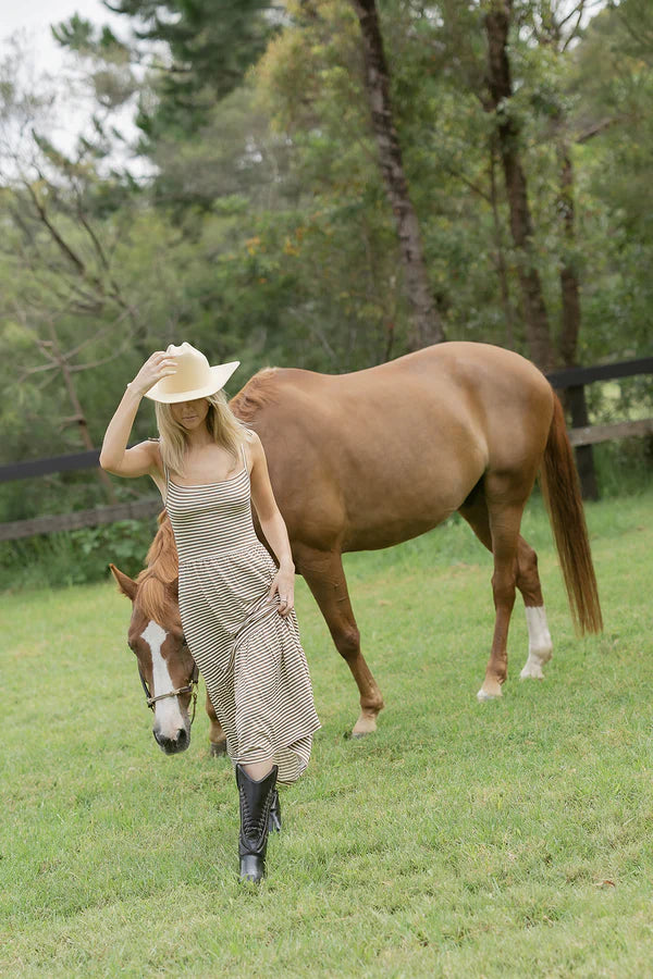 Ladies Twirl Dress - Caramel Stripe
