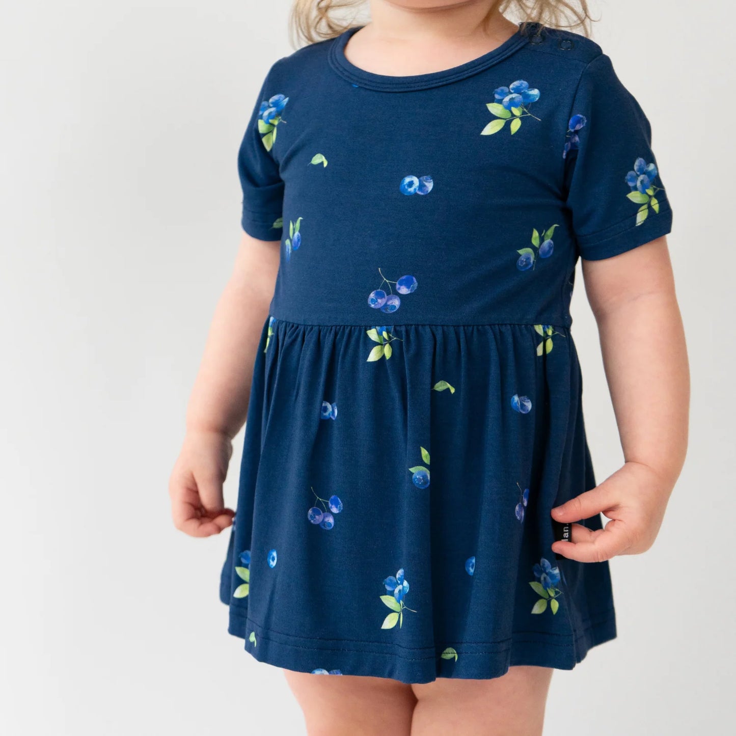 Short Sleeve Skirted Onesie - Blueberries