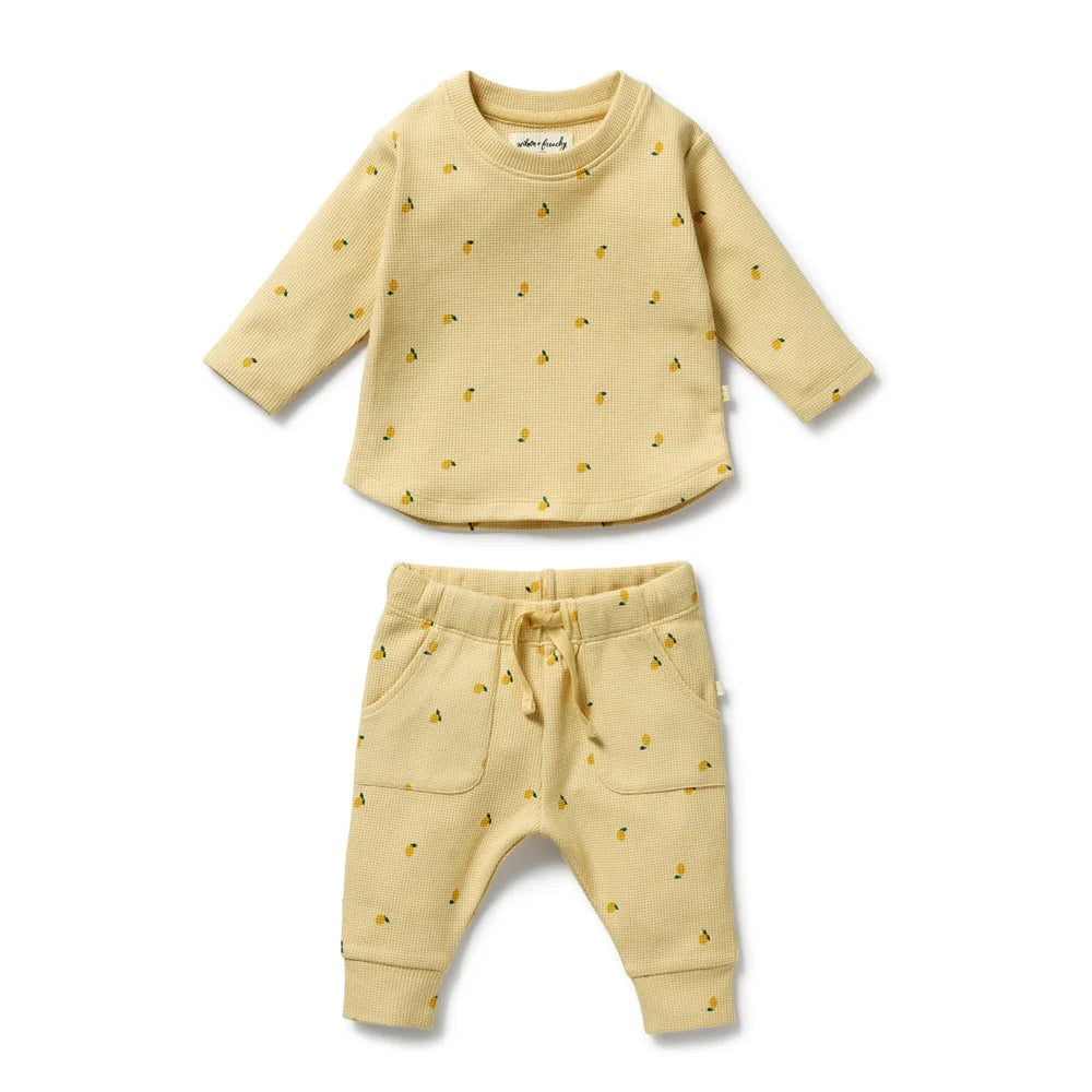 Organic Waffle Set - Little Lemon