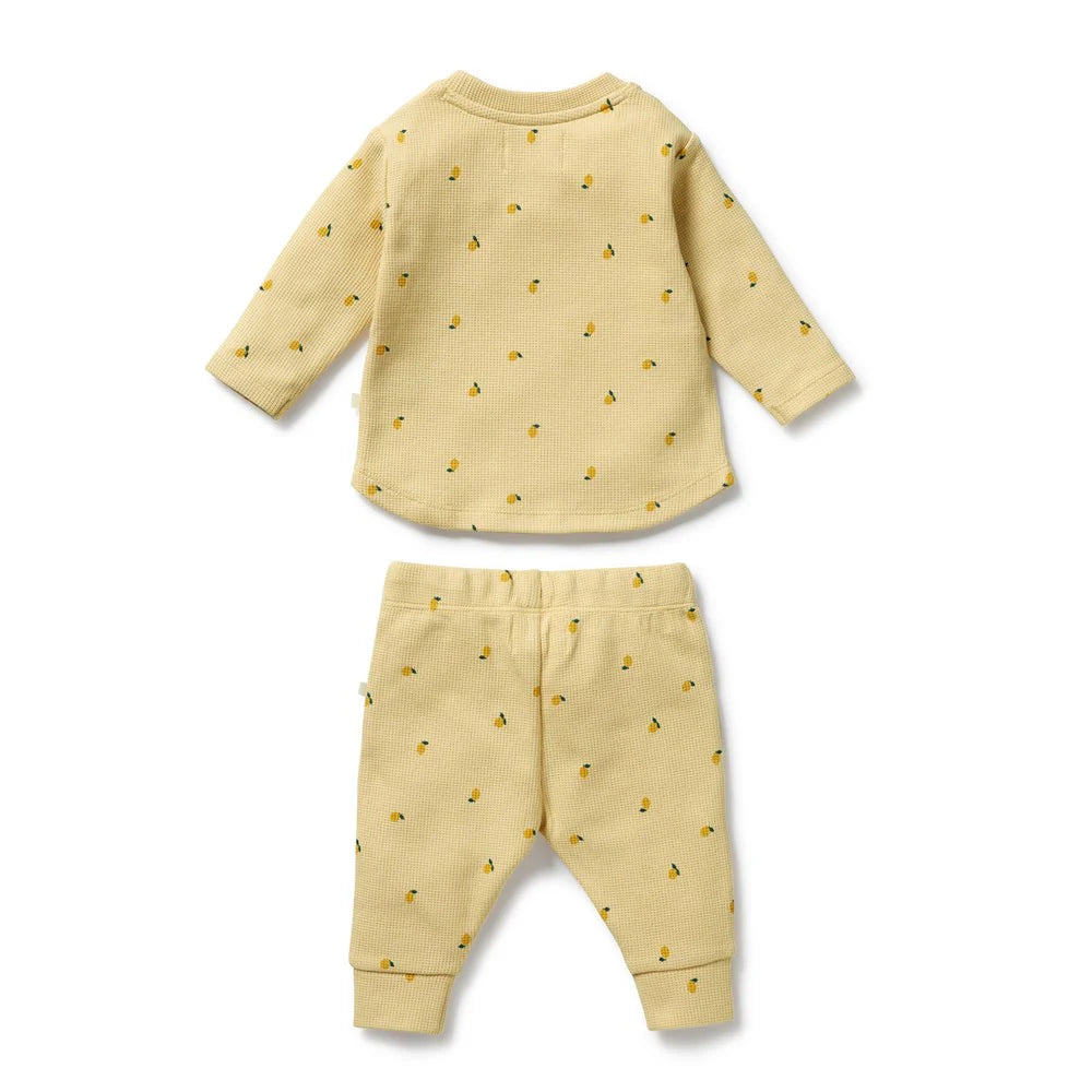 Organic Waffle Set - Little Lemon