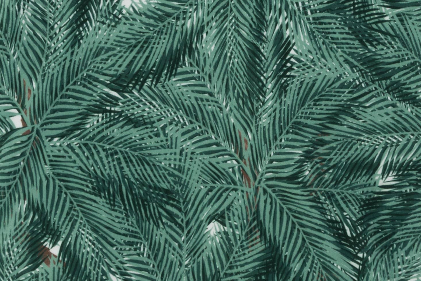 The Beau Board Shorts