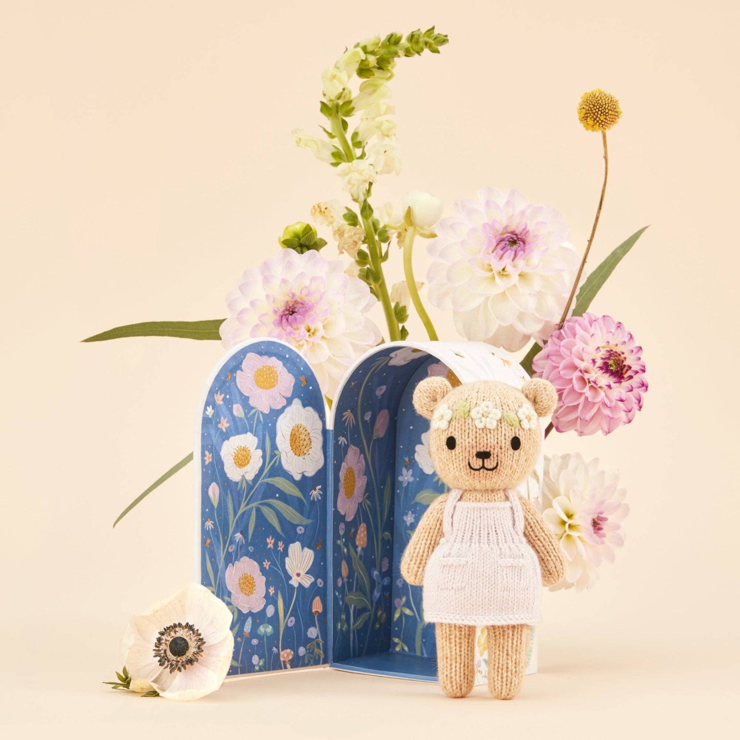 
                  
                    Tiny Olivia the honey bear
                  
                