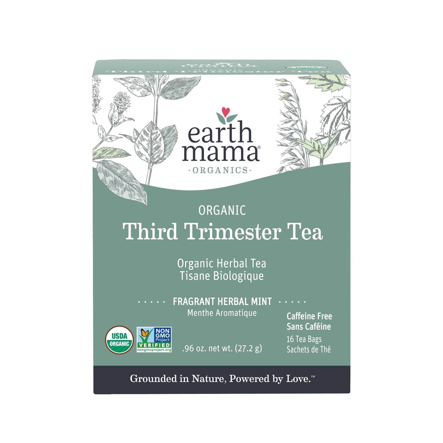Earth Mama Organics Organic Third Trimester Tea - Mama + Fawn Co.-